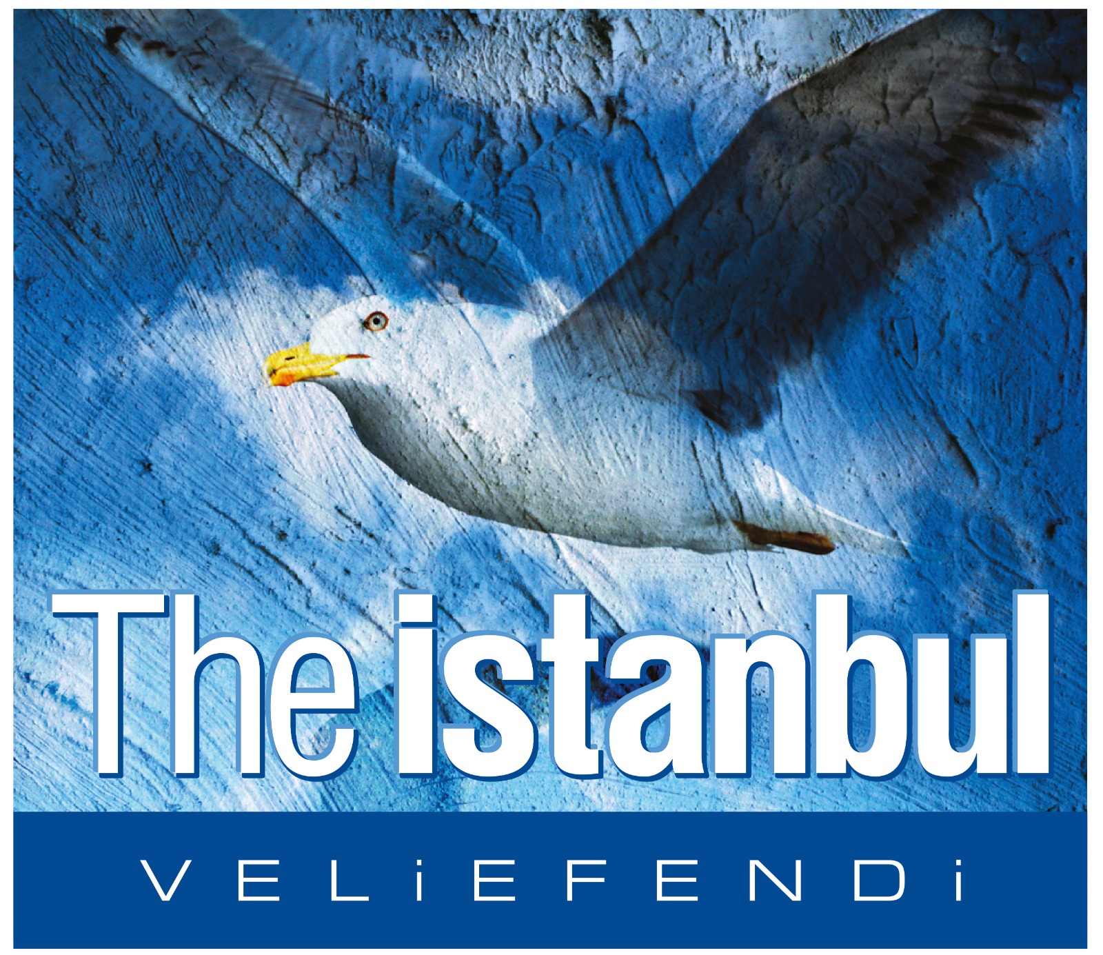 THE ISTANBUL VELIEFENDI 